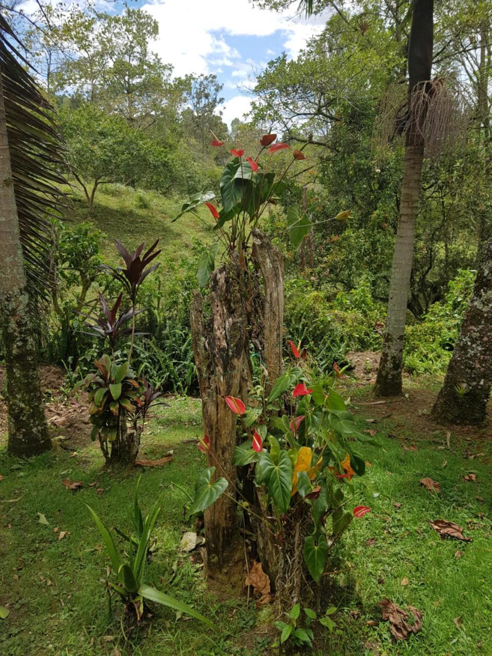 Finca La Esperanza Loma Linda Vila San Francisco  Exterior foto